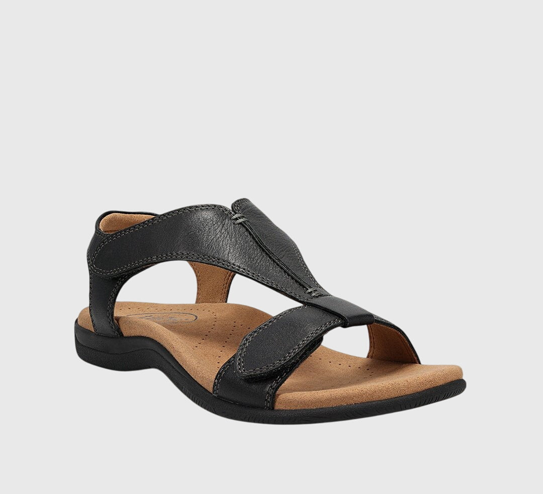 Black / 6